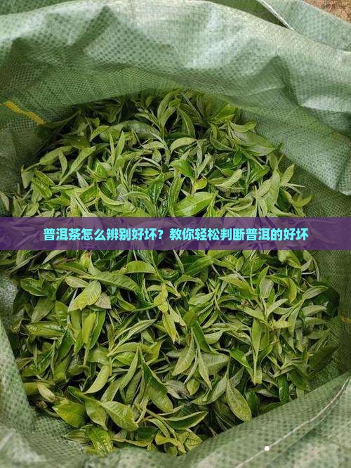 熟普洱茶怎么好坏
