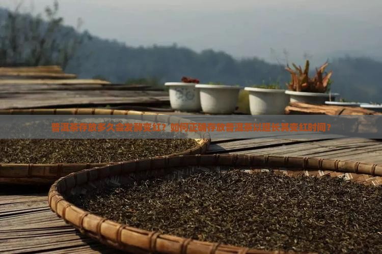 普洱茶放多长时间变红了