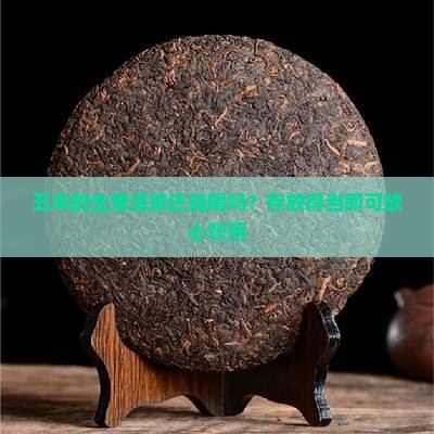 五年的生普洱茶还能喝吗