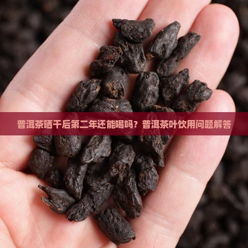普洱茶晒干第二年还能喝吗