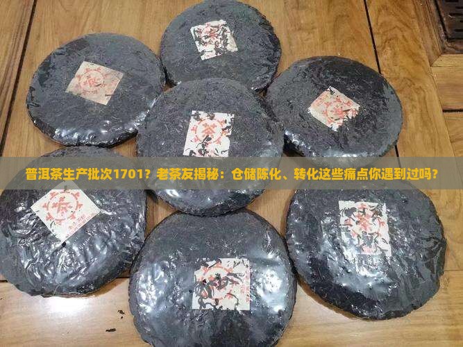 普洱茶生产批次1701 普洱茶生产批次1701