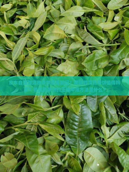 普洱茶饼京东自营熟茶 普洱茶饼京东自营熟茶