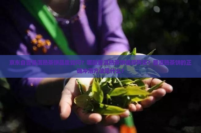 普洱茶饼京东自营熟茶 普洱茶饼京东自营熟茶