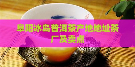 阜阳冰岛普洱茶