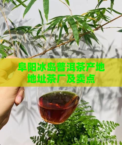 阜阳冰岛普洱茶