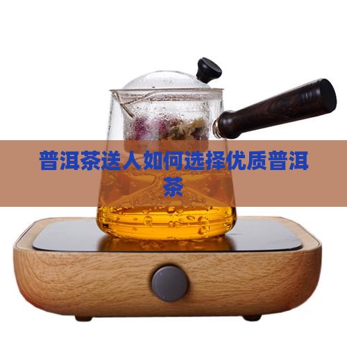 老树普洱茶送人怎么样