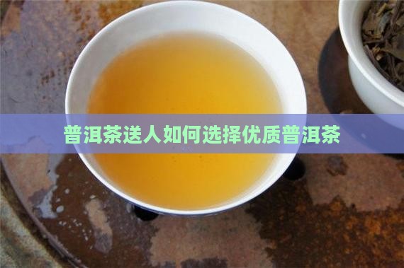 老树普洱茶送人怎么样