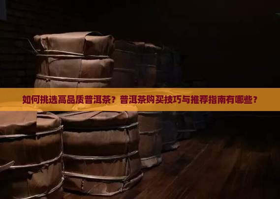 好的普洱茶购买指南