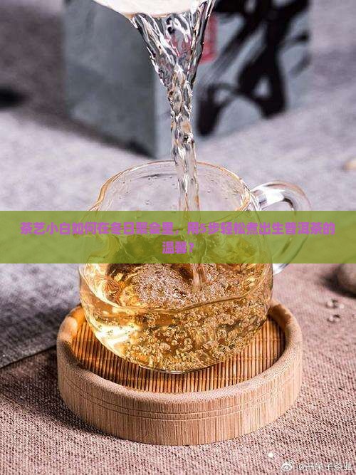 围炉煮生普洱茶 围炉煮生普洱茶