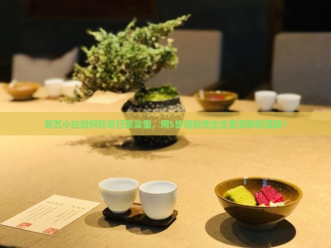 围炉煮生普洱茶 围炉煮生普洱茶