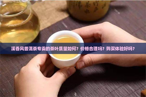 溪香风普洱茶专卖怎么样