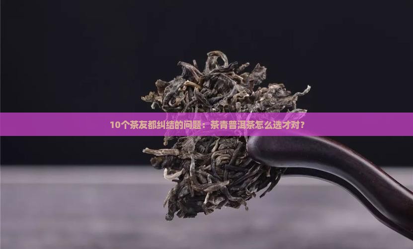 知识点茶青普洱茶
