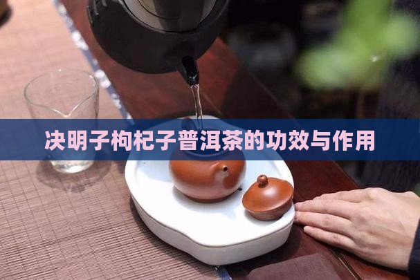 决明子枸杞子普洱茶