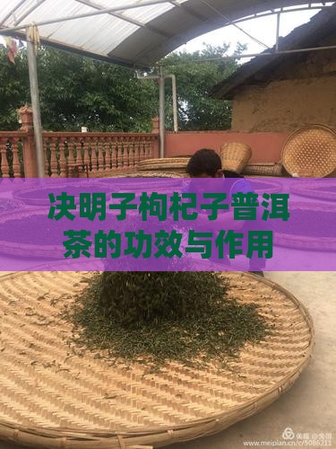 决明子枸杞子普洱茶