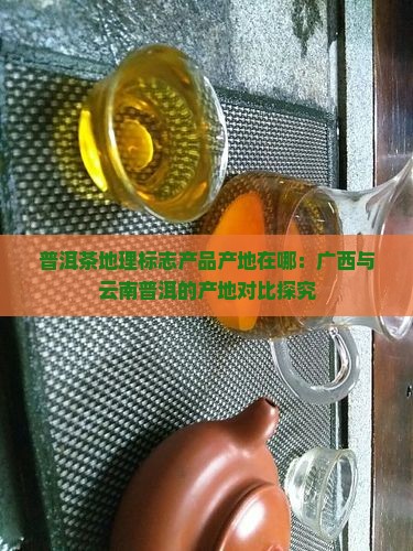 普洱茶的产地在哪A广西
