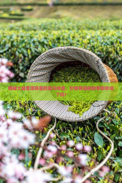 大益普洱茶骏马价格