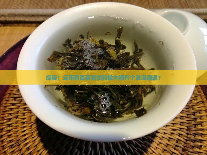 云南普洱茶橡木桶