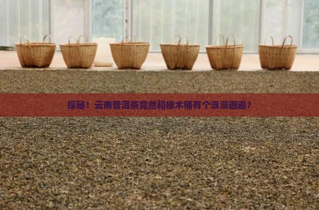 云南普洱茶橡木桶