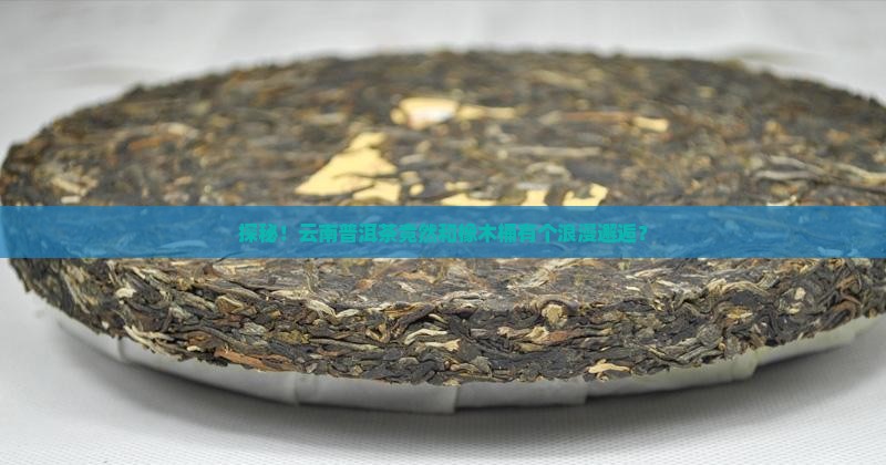 云南普洱茶橡木桶