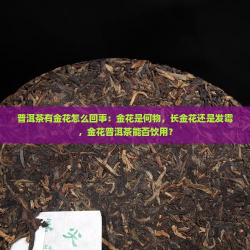 普洱茶有金花怎么回事
