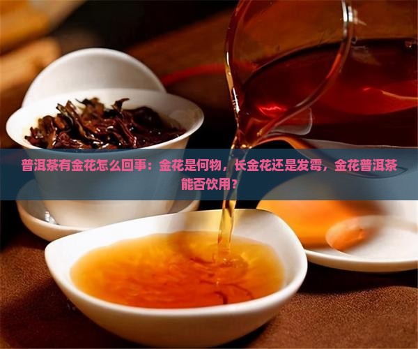 普洱茶有金花怎么回事