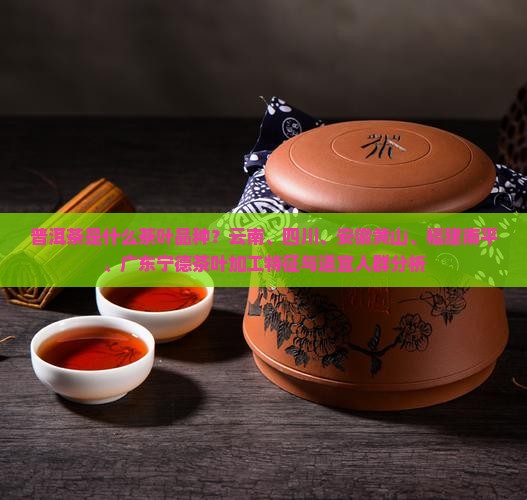 普洱茶是用什么品种茶叶做