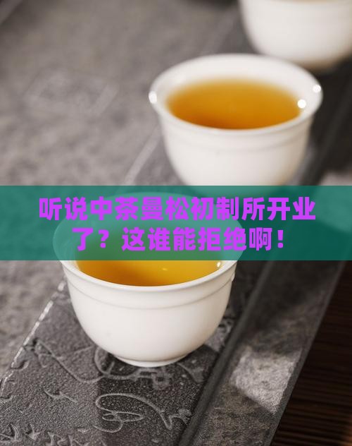 中茶曼松初制所
