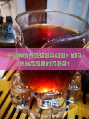 普洱茶好的评语