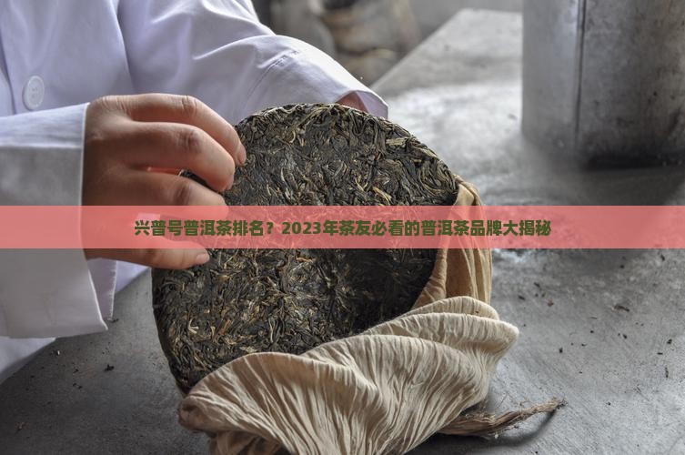 兴普号普洱茶排名
