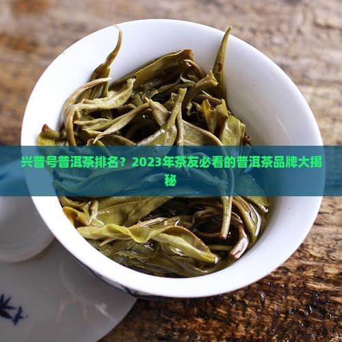 兴普号普洱茶排名