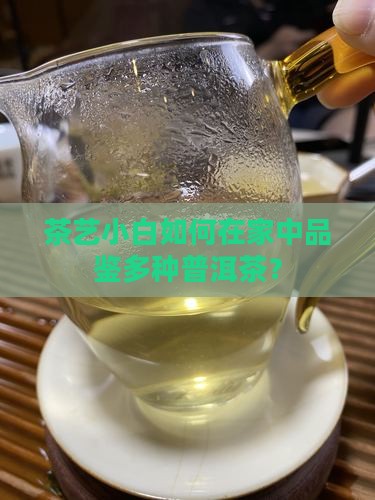 多种普洱茶一起喝