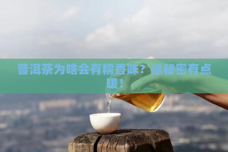 普洱茶糯香是怎么形成的