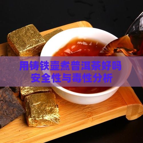 用铸铁壶煮普洱茶好吗
