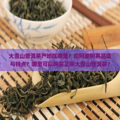 大雪山普洱茶在哪里