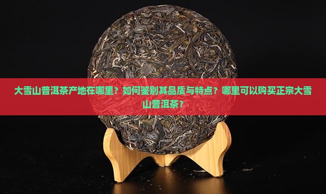 大雪山普洱茶在哪里