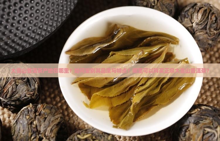大雪山普洱茶在哪里