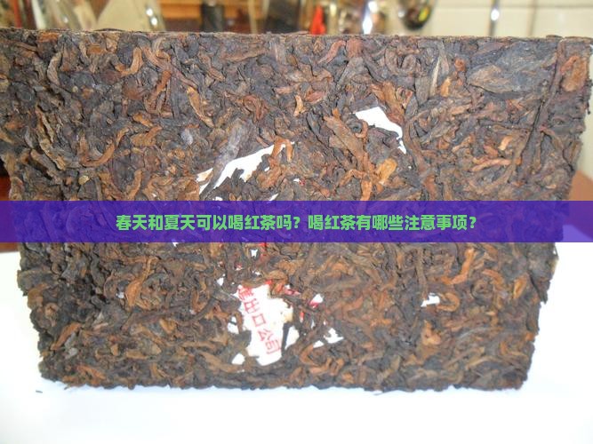 春天和夏天可以喝红茶吗