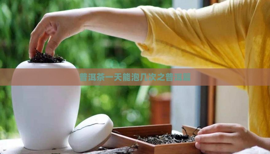 普洱茶1天能泡几回
