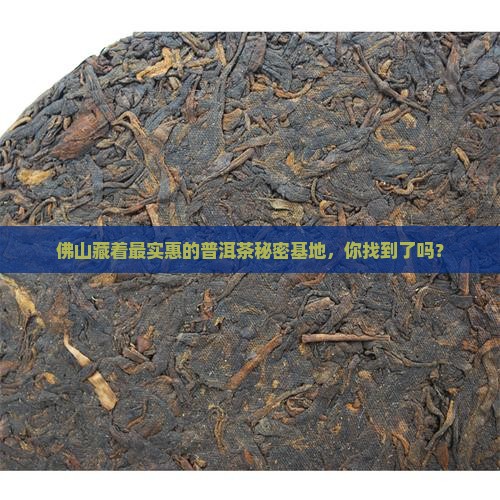 佛山批发普洱茶在哪里最便宜