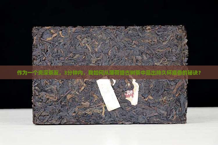 薄荷塘古树茶的口感杯底香