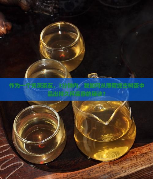 薄荷塘古树茶的口感杯底香