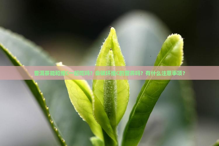 普洱茶能和维c一起吃吗