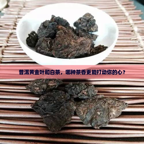 普洱茶黄金叶和白茶