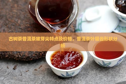 古树茶普洱茶嫩芽尖