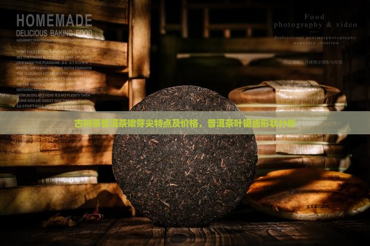 古树茶普洱茶嫩芽尖