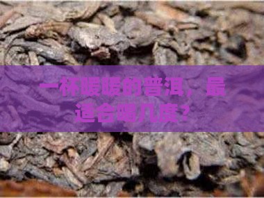 喝普洱茶的温度多少