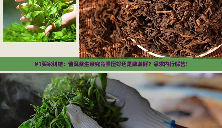 普洱茶生茶紧好还是松好