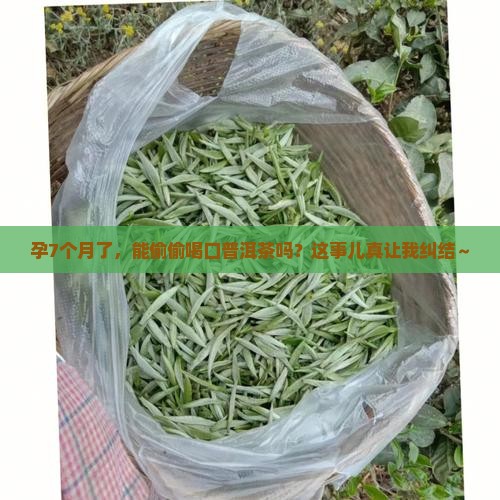 孕7月能喝普洱茶吗