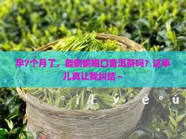 孕7月能喝普洱茶吗