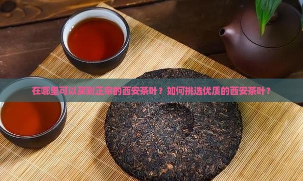 西安哪里买茶叶
